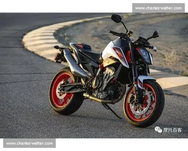 胜利vs890巅峰对决解析性能价格体验全面评测指南选购建议