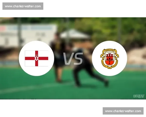 聚焦对阵北爱尔兰之战解析球队战术变化与胜负看点赛前前瞻关键走向